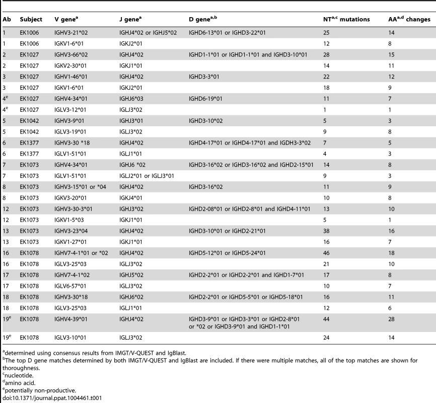 Sequence characteristics of Abs cloned from HPV 16-specific Bmem.