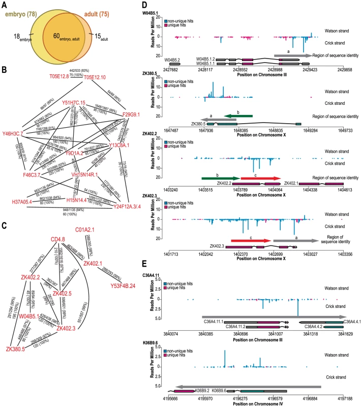 Genes targeted by <i>eri-6/7</i>-dependent endogenous siRNAs share regions of high sequence identity.