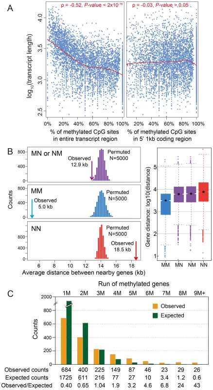 DNA methylation and gene length, exon number and gene locations.