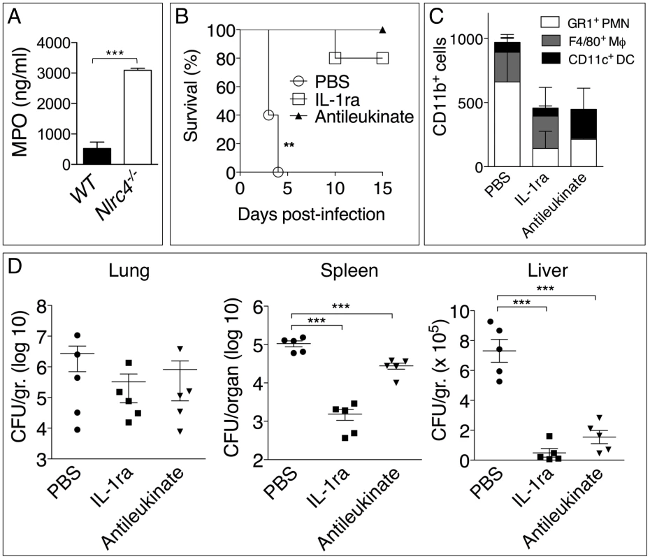 Inhibition of neutrophil recruitment to the lung protects <i>Nlrc4<sup>-/-</sup></i> mice from melioidosis.