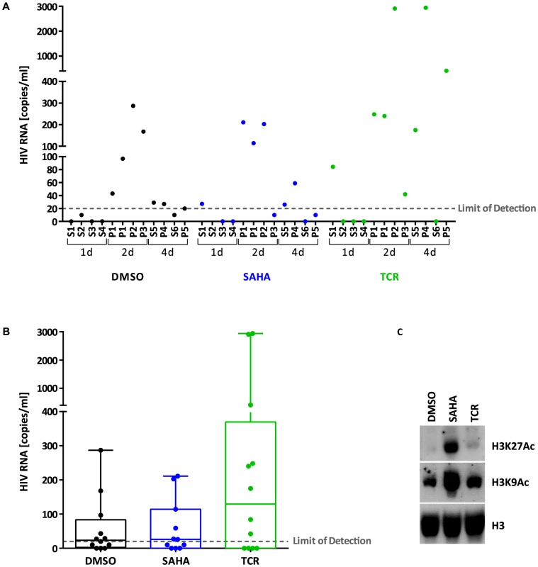 Viral production from latently infected cells <i>ex vivo</i>.
