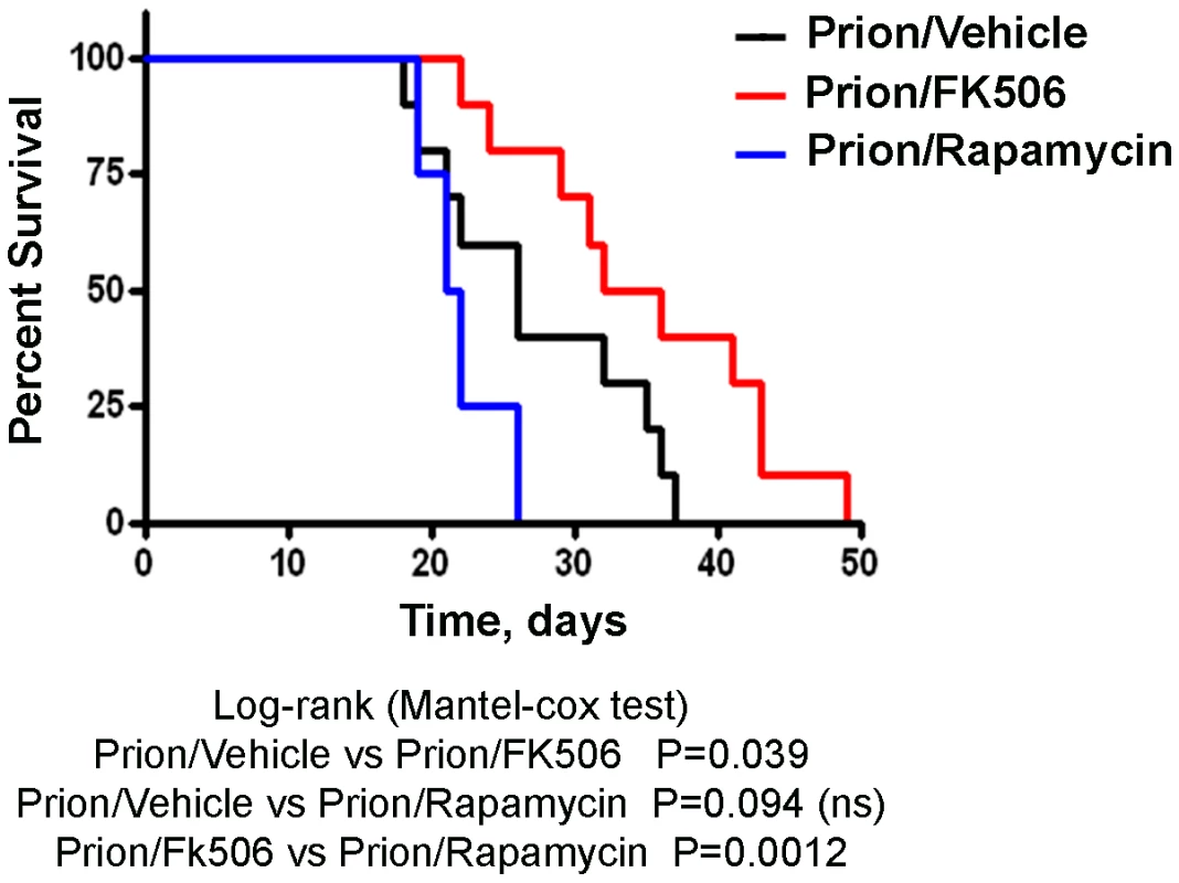 Increase in survival of prion infected animals by treatment with CaN inhibitor.