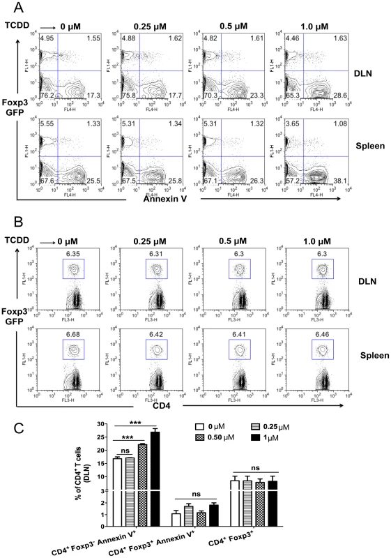 TCDD causes apoptosis of Foxp3<sup>-</sup>CD4<sup>+</sup> T cells but not Tregs.