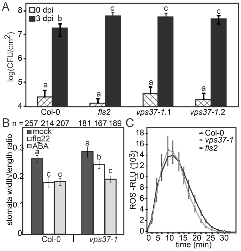 Knock-out <i>vps37-1</i> mutants are impaired in immunity.