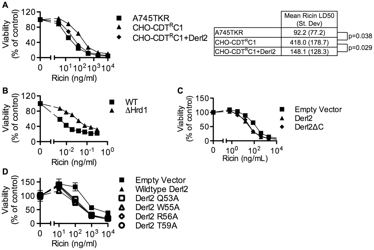 Derl2 and Hrd1 contribute to sensitivity to Ricin, independent of the Derl2 WR motif and the interaction of Derl2 with p97.