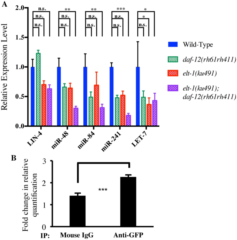 LET-7 family miRNAs are decreased in <i>elt-1(ku491);daf-12(rh61rh411)</i> double-mutant animals and ELT-1 binds to the <i>let-7</i> promoter <i>in vivo</i>.