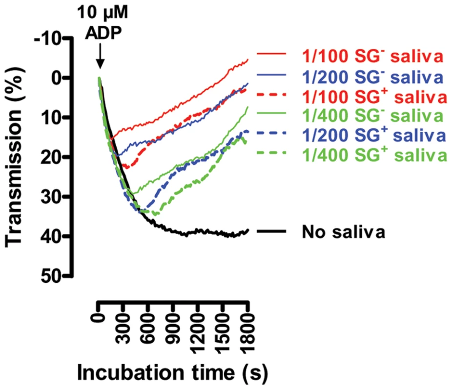 Effect of the <i>T. brucei</i> salivary gland infection on the anti-thrombotic properties of tsetse fly saliva: inhibition of 10 µM ADP-induced platelet aggregation by ½ serial SG<sup>+</sup> and SG<sup>-</sup> saliva dilutions (1/100 to 1/400).