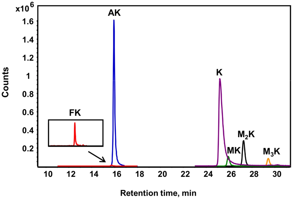 Different lysine species detected in purified histone H4 from TK6 cells.