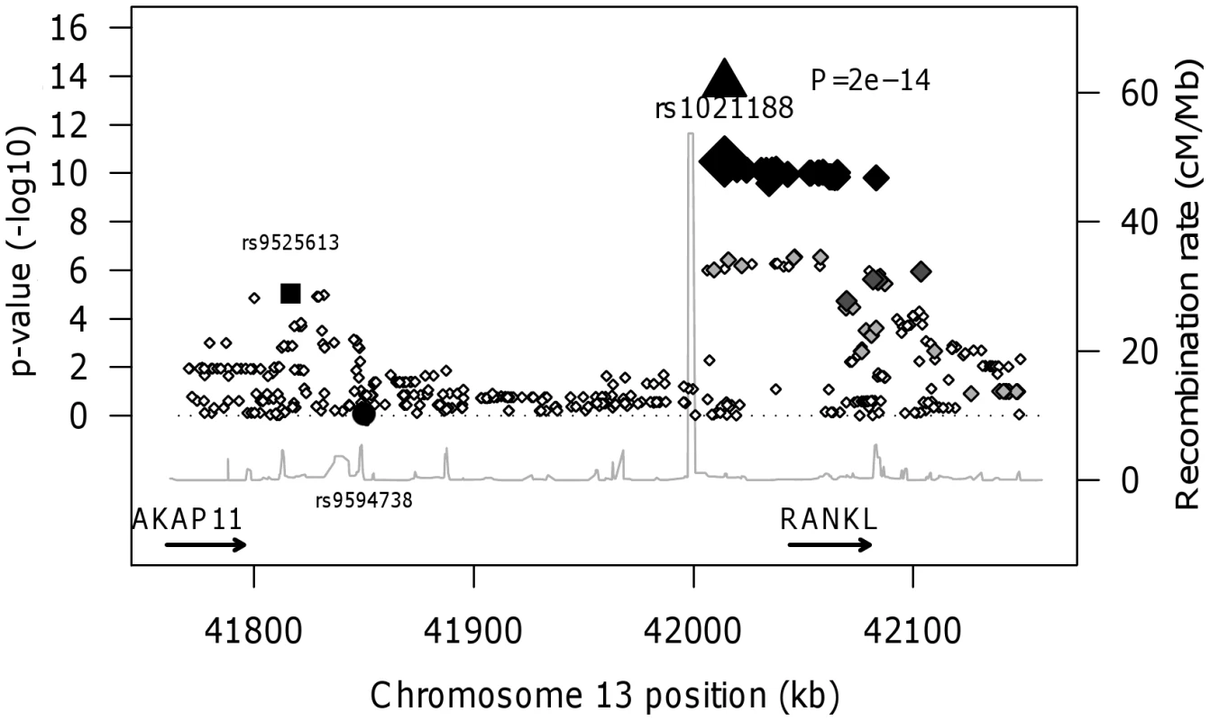 RANKL regional association plot of the ALSPAC and GOOD genome-wide meta-analysis of BMD<sub>C</sub>.