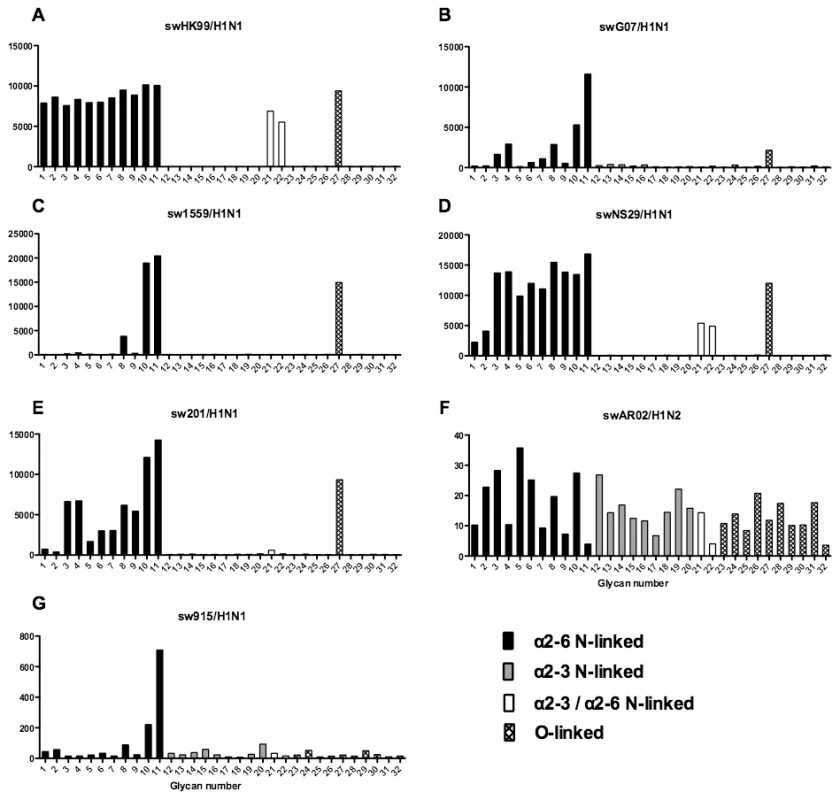 Glycan array analysis of swine H1 viruses.