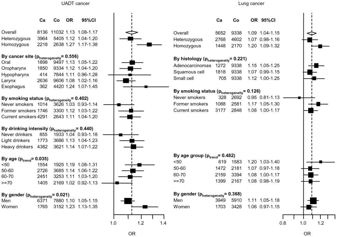 Association between 4q21 variant (rs1494961) and UADT and lung cancers.