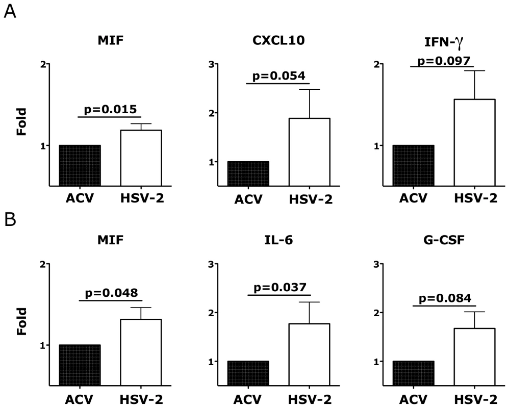 Ex vivo HSV-2 infection modulates the release of soluble factors by vaginal mucosa.