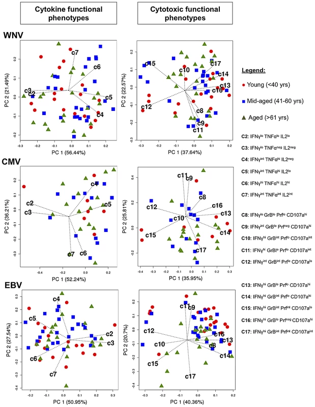 Principal Component Analysis of antigen-specific CD8+ T cell polyfunctionality shows no correlation with age.