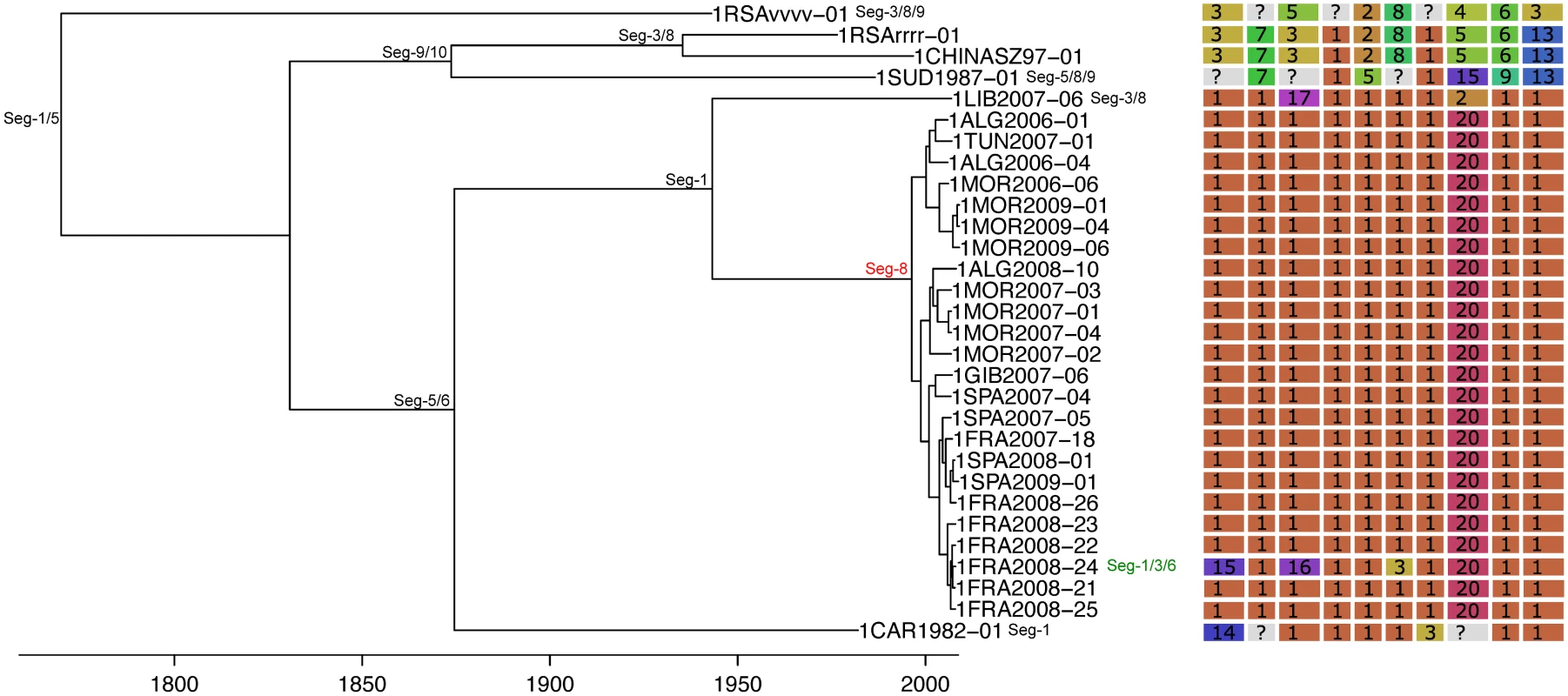 Time-scaled Seg-2 phylogeny of European BTV-1(w) isolates.