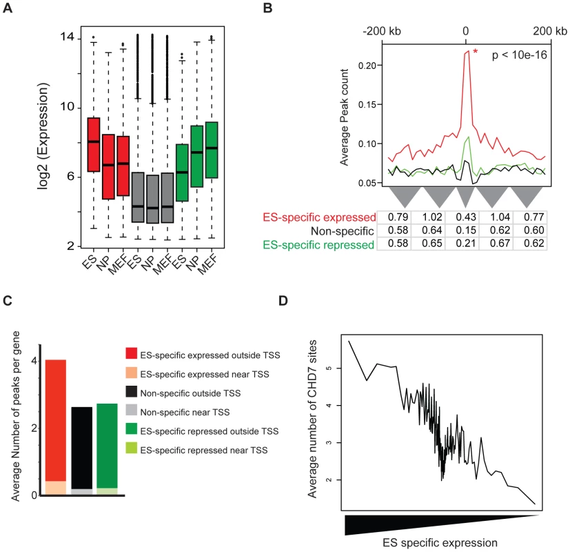 CHD7 binding correlates with ES cell specific expression patterns.