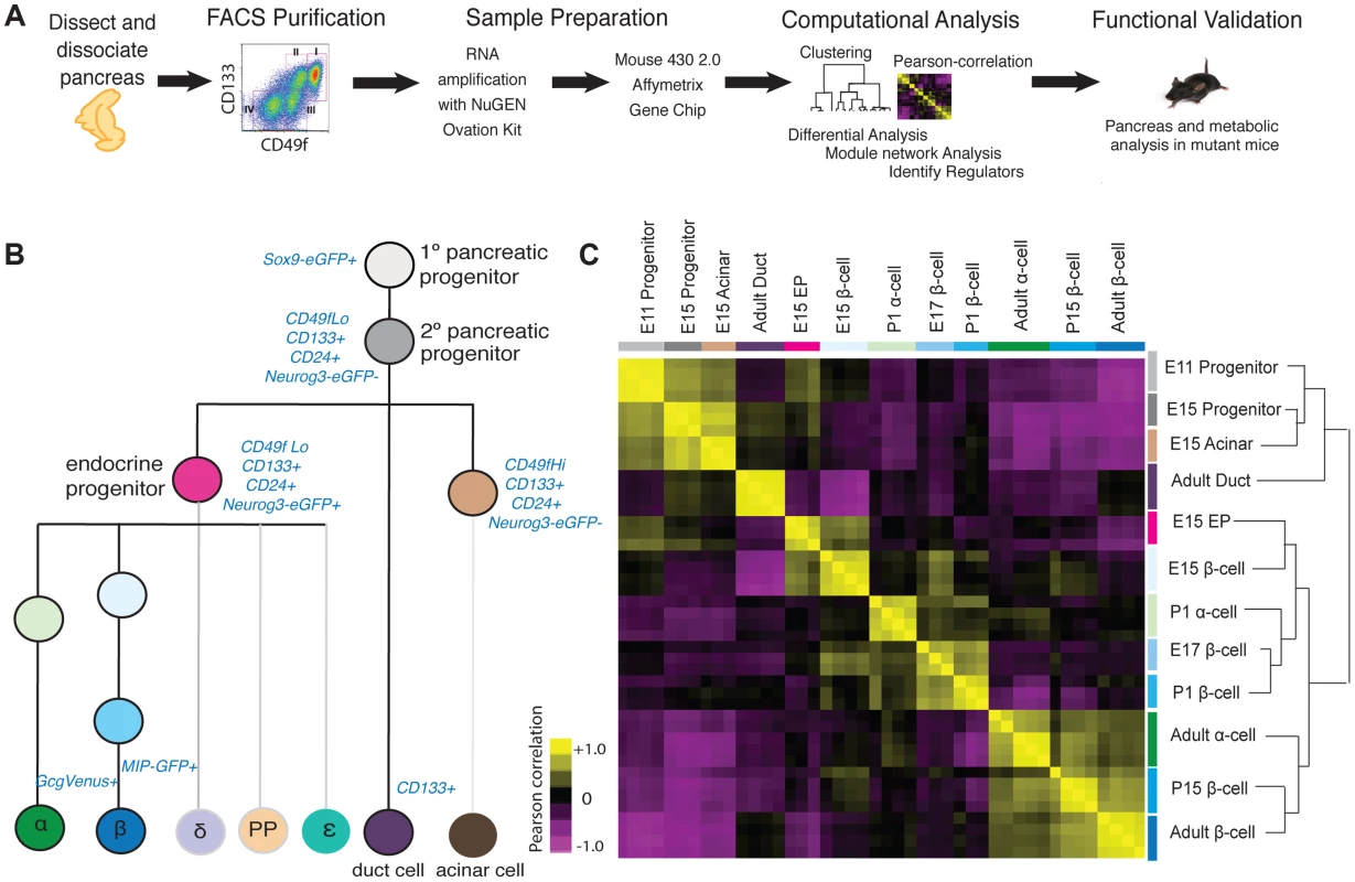 Acquisition and analysis of global gene-expression.