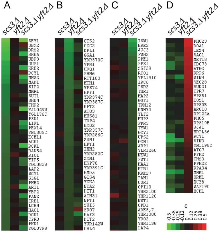 Representative genetic interactions obtained in SGA screens with <i>SCS3</i> and <i>YFT2</i> gene-deletion strains.