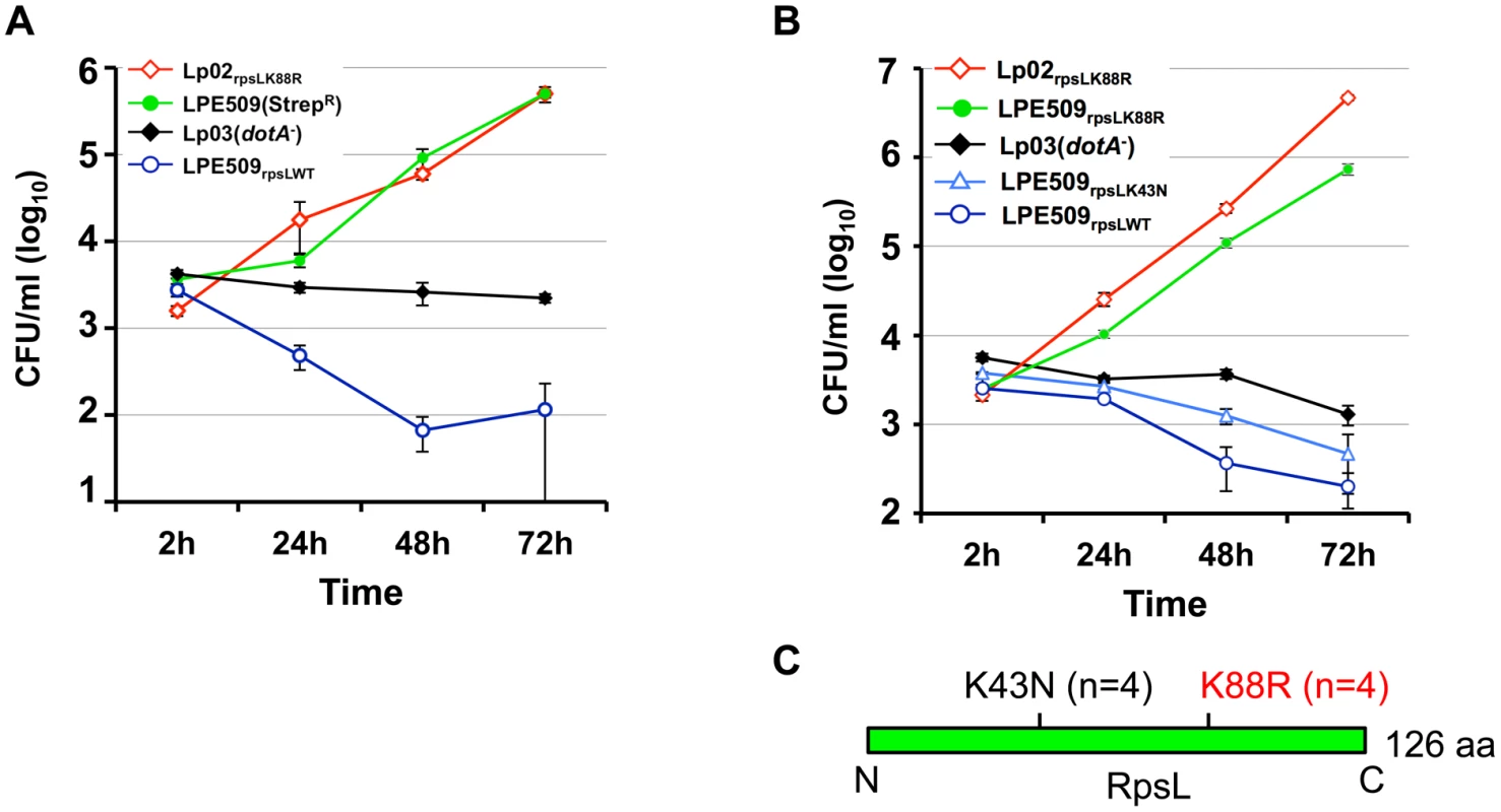 A K88R mutation in RpsL allows <i>L</i>. <i>pneumophila</i> strain LPE509 to replicate in macrophages.