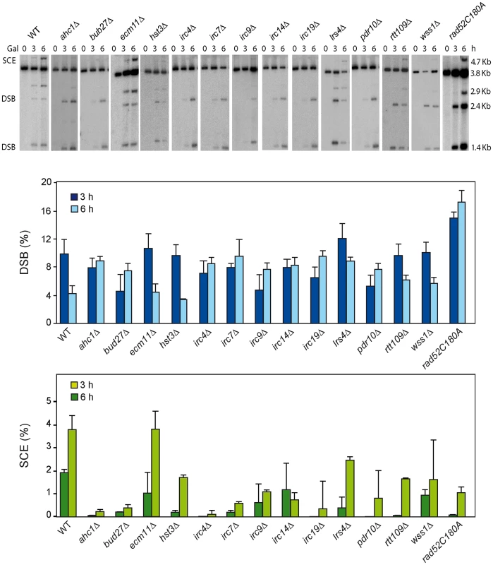 Molecular analysis of SCR in 13 SCR–defective mutants.