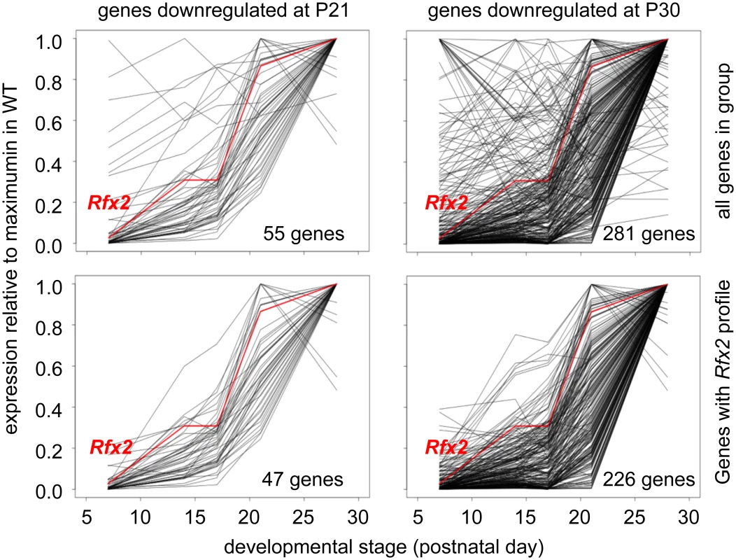 Developmental expression profiles of genes downregulated in <i>Rfx2</i><sup>-/-</sup> testis.