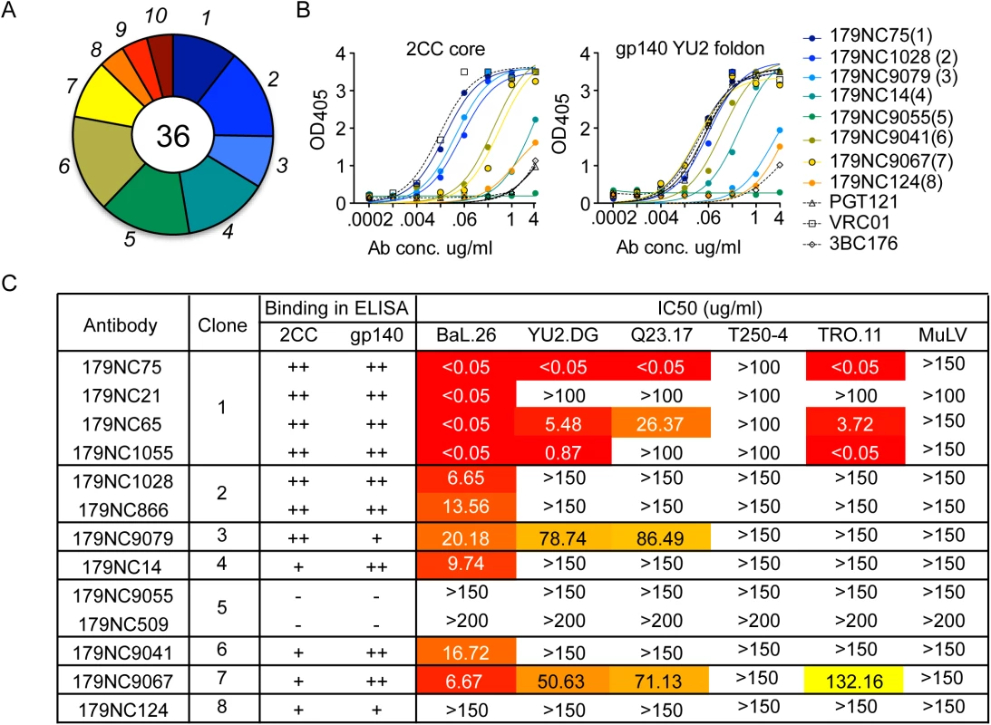 2CC core antibody repertoire in patient EB179.