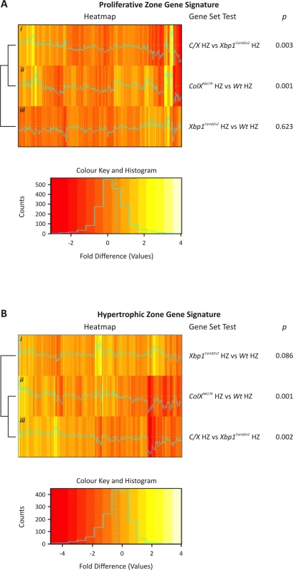 Expression of wildtype growth plate zone gene signatures in <i>ColX</i><sup><i>N617K</i></sup>, <i>Xbp1</i><sup><i>CartΔEx2</i></sup>, and <i>C/X</i> hypertrophic zones.