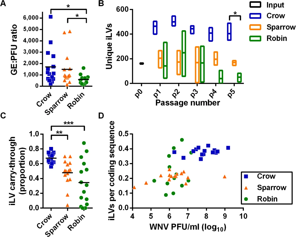 Intrahost virus population density contributes to the accumulation of deleterious mutations.