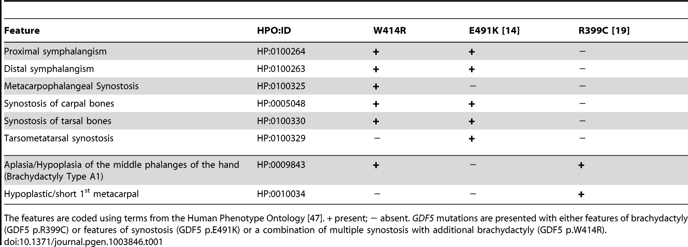 Clinical features of the affected family members with mutations in <i>GDF5</i>.