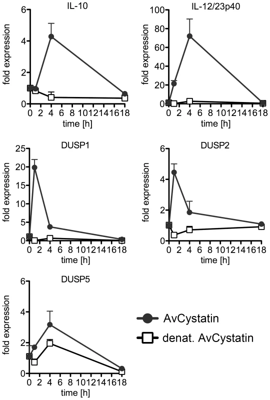 <i>In vivo</i> effect of AvCystatin confirms cytokine and DUSP expression.