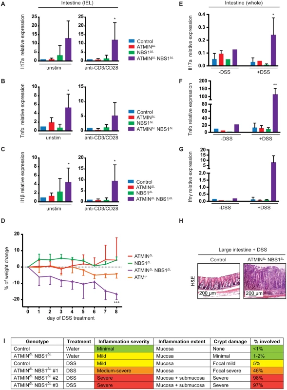 Mice deficient for ATMIN and NBS1 in T cells produce inflammatory cytokines in the intestine and are hypersensitive to colitis.