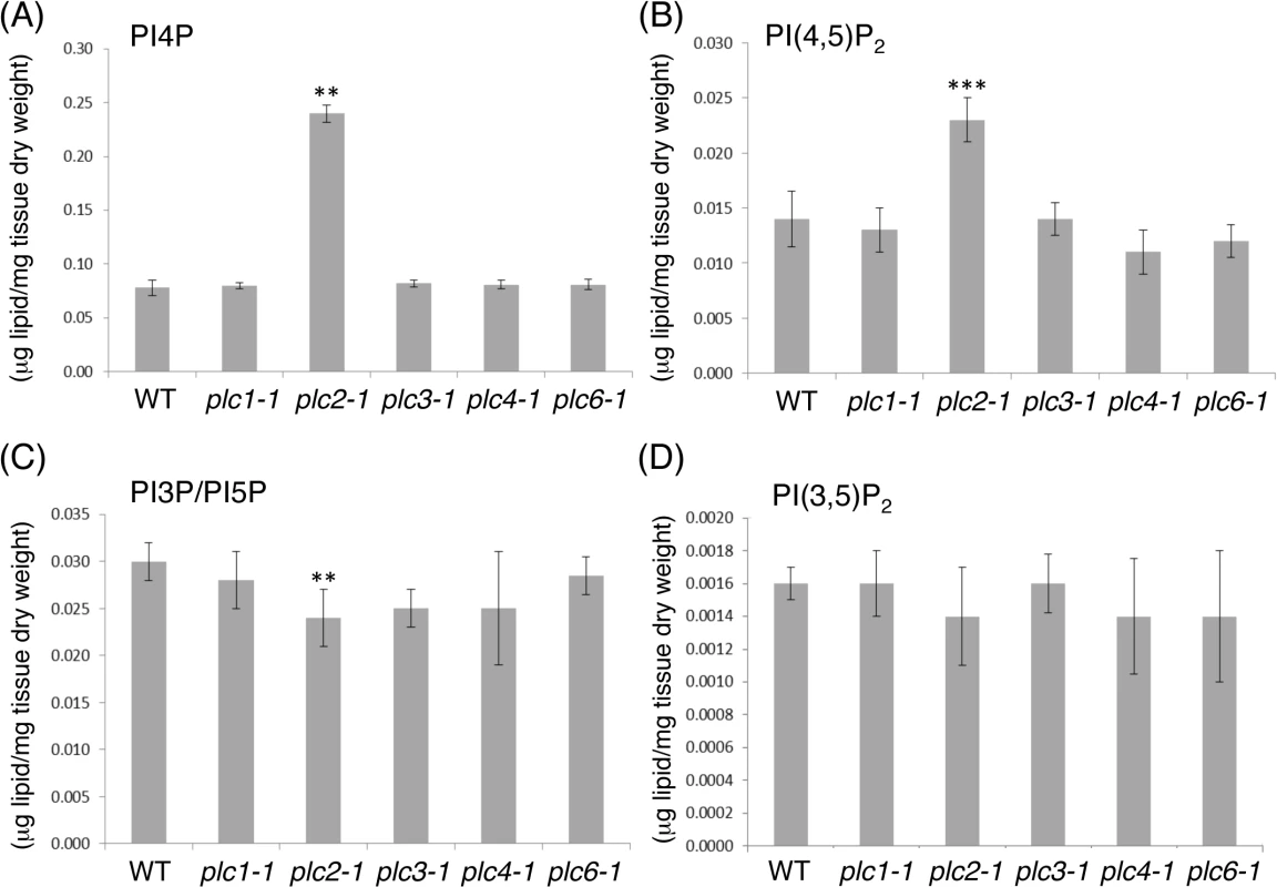Lipidomic profiling of phosphoinositide levels in 14-day-old seedlings of the <i>plc1-1</i>, <i>plc2-1</i>, <i>plc3-1</i>, <i>plc4-1</i>, <i>plc6-1</i> mutants compared with the wild type (WT).