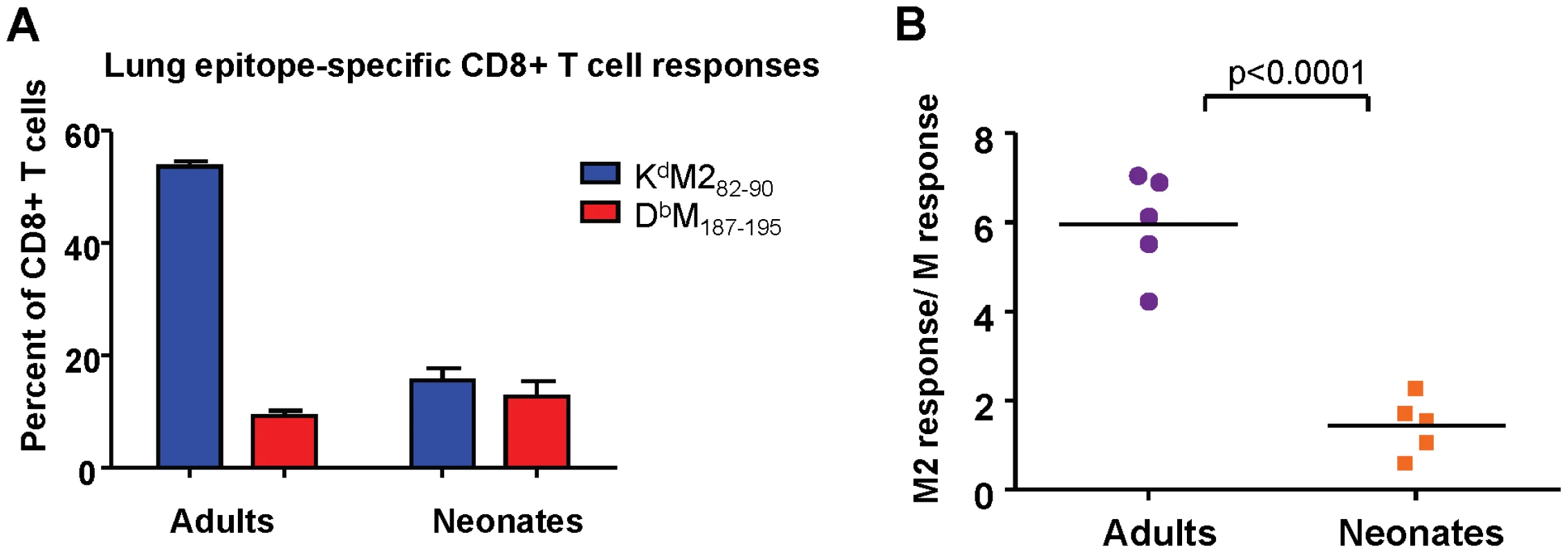 Epitope-specific CD8+ T cell responses following infection with rAd5-MM2.