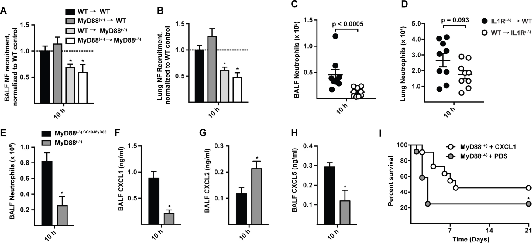 CXCL1 is controlled by MyD88 in lung epithelial cells and prolongs survival in MyD88<sup>(−/−)</sup> mice following <i>A. fumigatus</i> challenge.