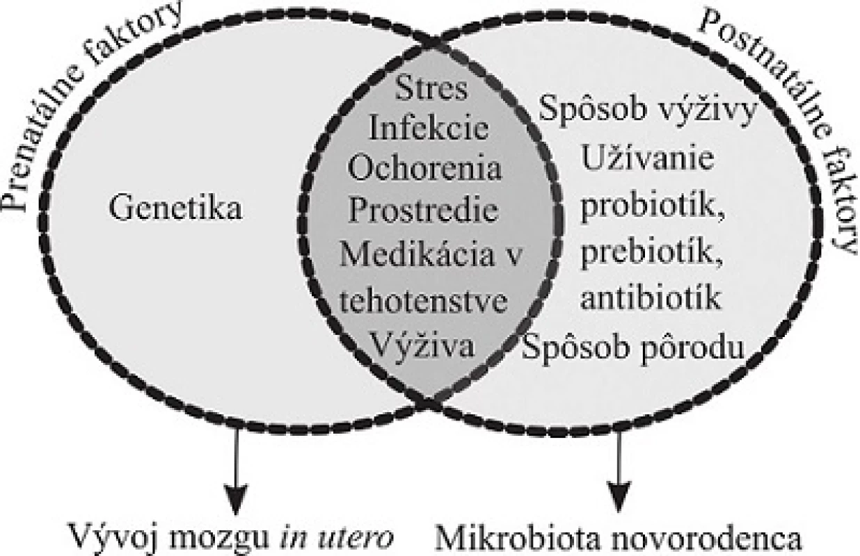 Vplyvy na os mikrobiota-črevo-mozog v perinatálnom období. Viaceré faktory ovplyvňujúce črevnú mikrobiotu matky môžu ovplyvniť vývoj mozgu in utero cez mikrobiálne
metabolity, metabolity liečiv a zápalové zmeny. Postnatálne je črevná mikrobiota silno ovplyvnená spôsobom pôrodu a výživy (podľa Mayer a kol.&lt;sup&gt;4)&lt;/sup&gt;)
