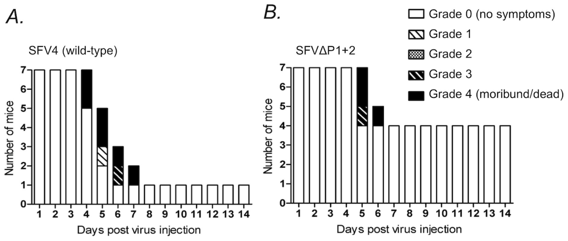 Neurologic symptoms and mortality in Balb/c mice following SFV infection.