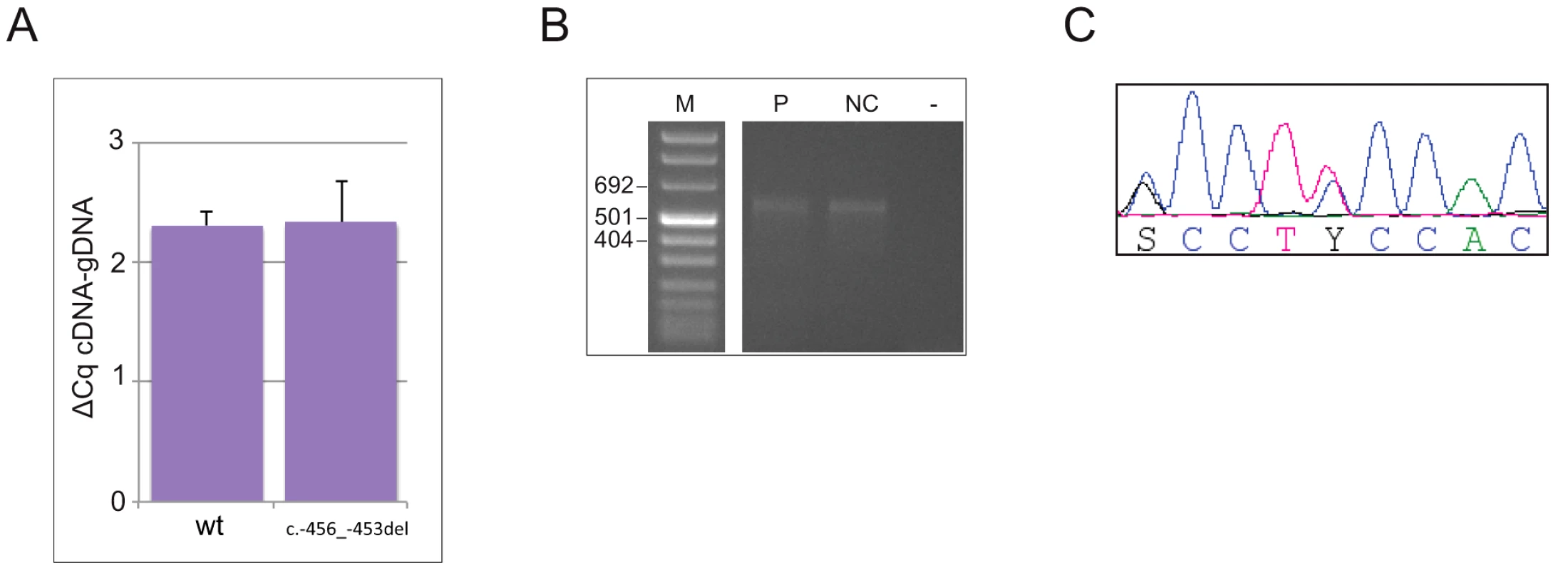 The c.-456_-453delCCTT does not alter the steady-state levels of <i>CDKN1B</i> allelic mRNA nor the promoter usage pattern.