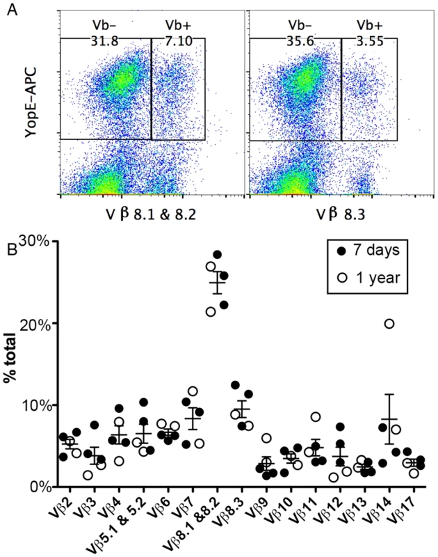 TCR Vβ subset distribution in ET cells.