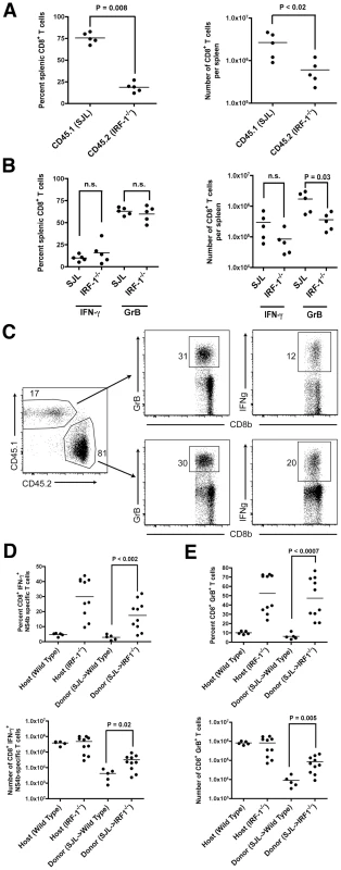 Adoptive transfer experiments identify cell-intrinsic and cell-extrinsic effects of IRF-1 on CD8<sup>+</sup> T cell expansion.