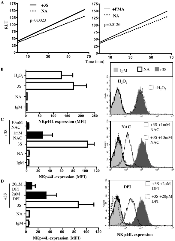 3S peptide stimulation induces ROS production by NADPH oxidase.