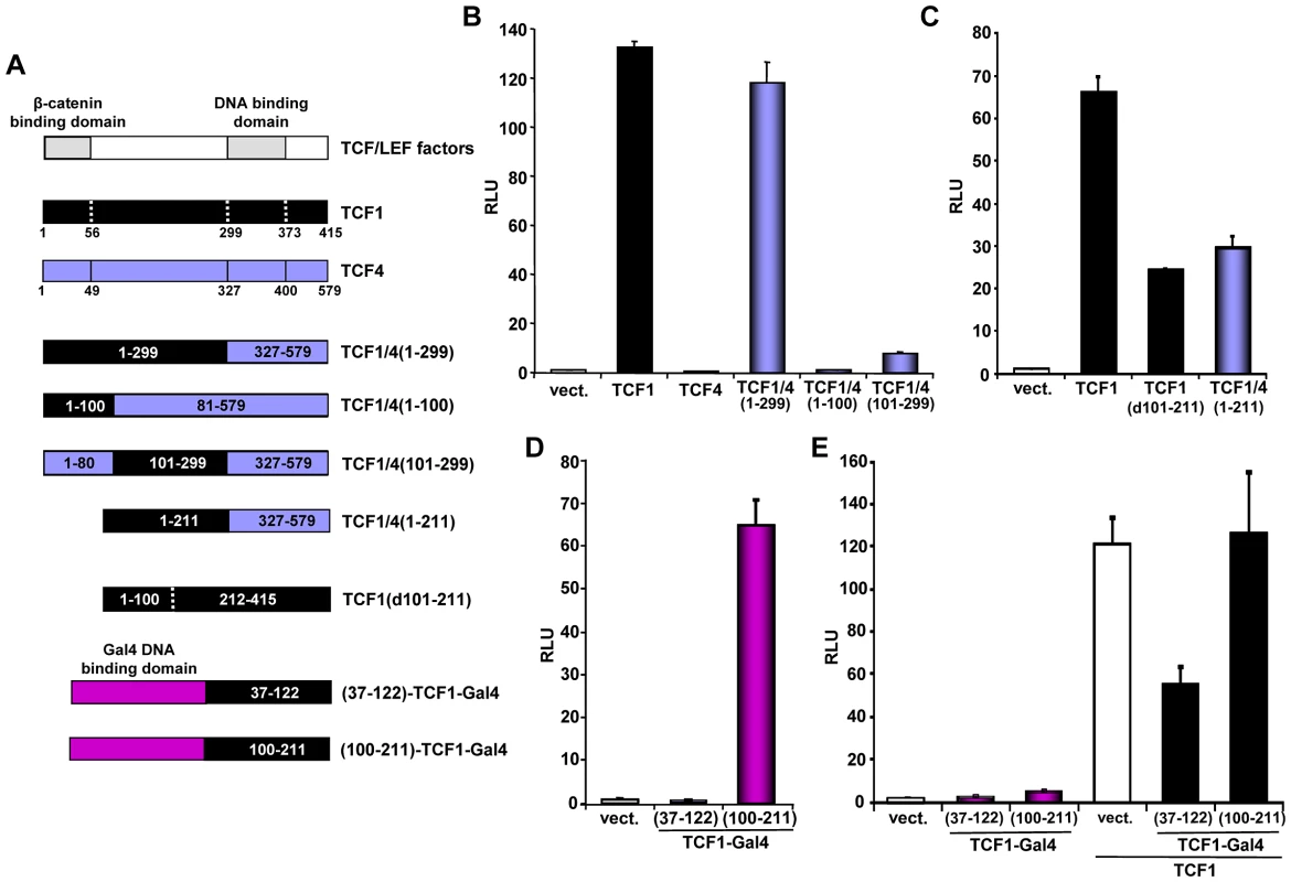 Mapping of the TCF1 domains involved in β-catenin-independent transcriptional activity.