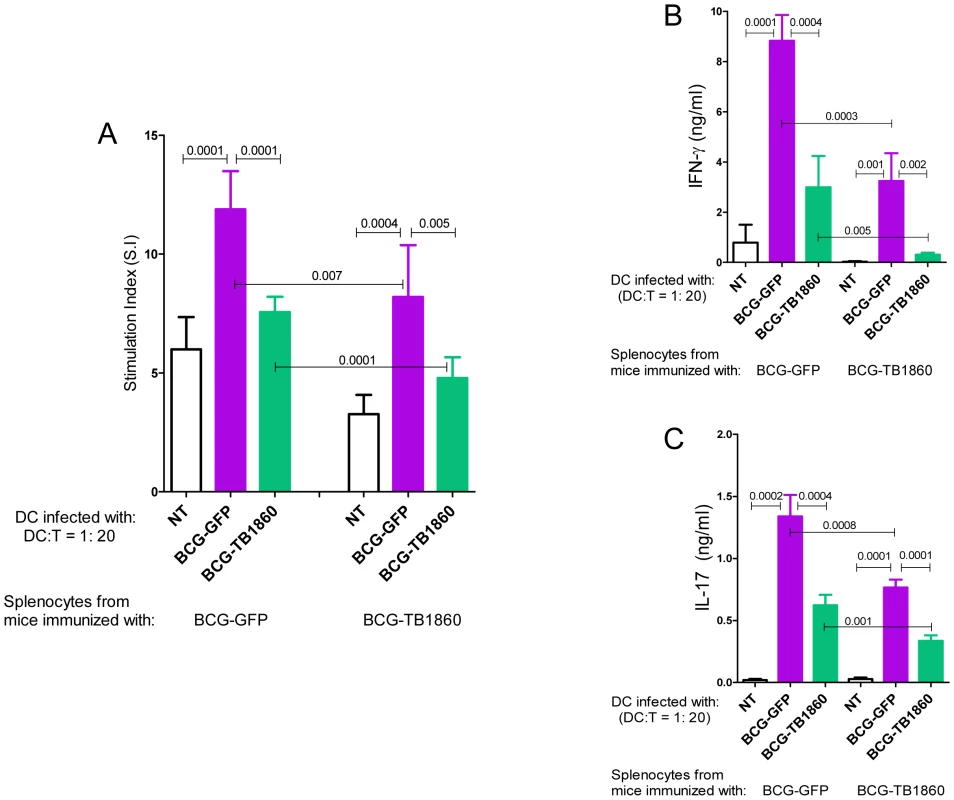 Polarization of syngeneic splenocytes by infected BMDC.
