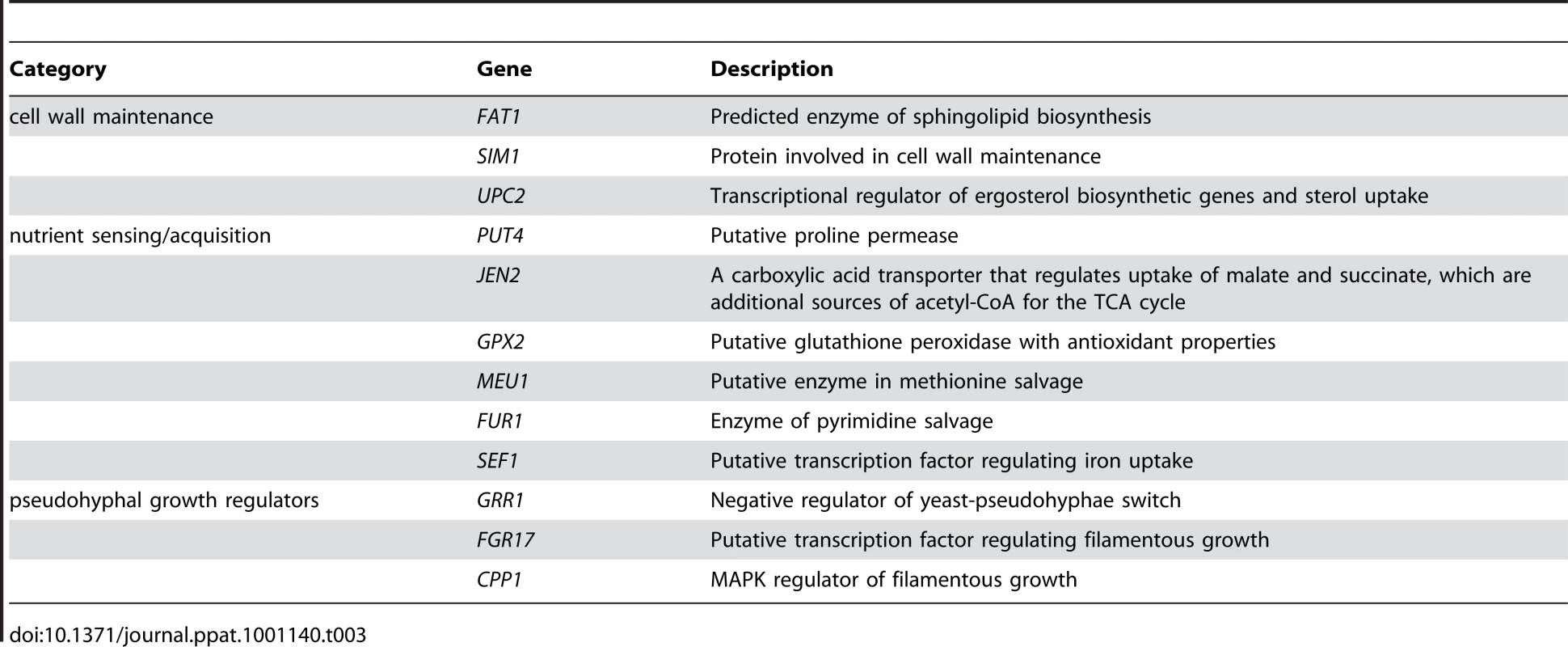 Categories of genes haploinsufficient in reduced-nutrient conditions.