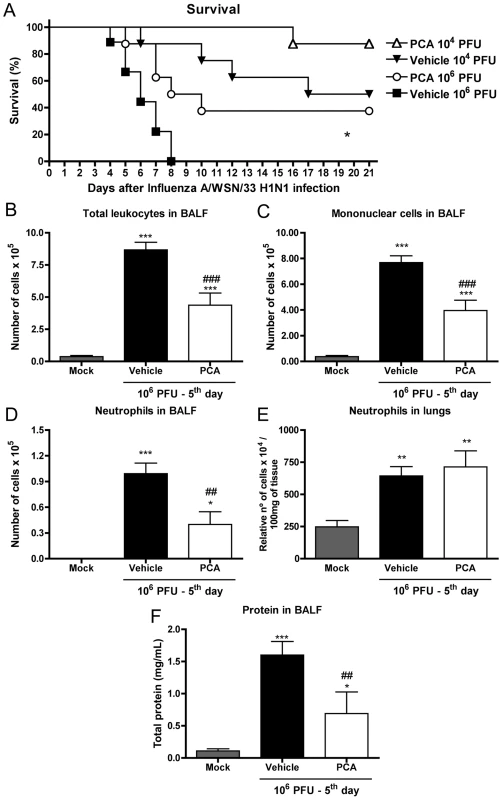 Treatment with a PAFR antagonist confers protection to mice infected with Influenza A/WSN/33 H1N1.
