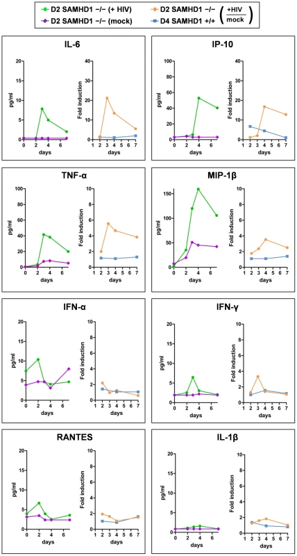 Cytokine secretion of PBMC lacking SAMHD1 indicates an early inflammatory response during HIV-1 replication.