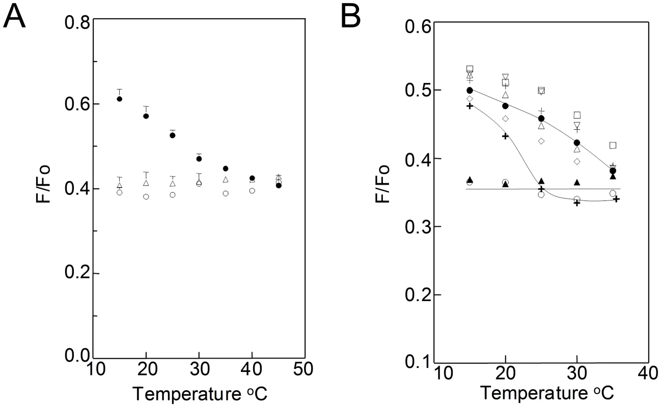 FRET detection of ordered domain formation as a function of temperature in <i>B.</i> <i>burgdorferi</i>.