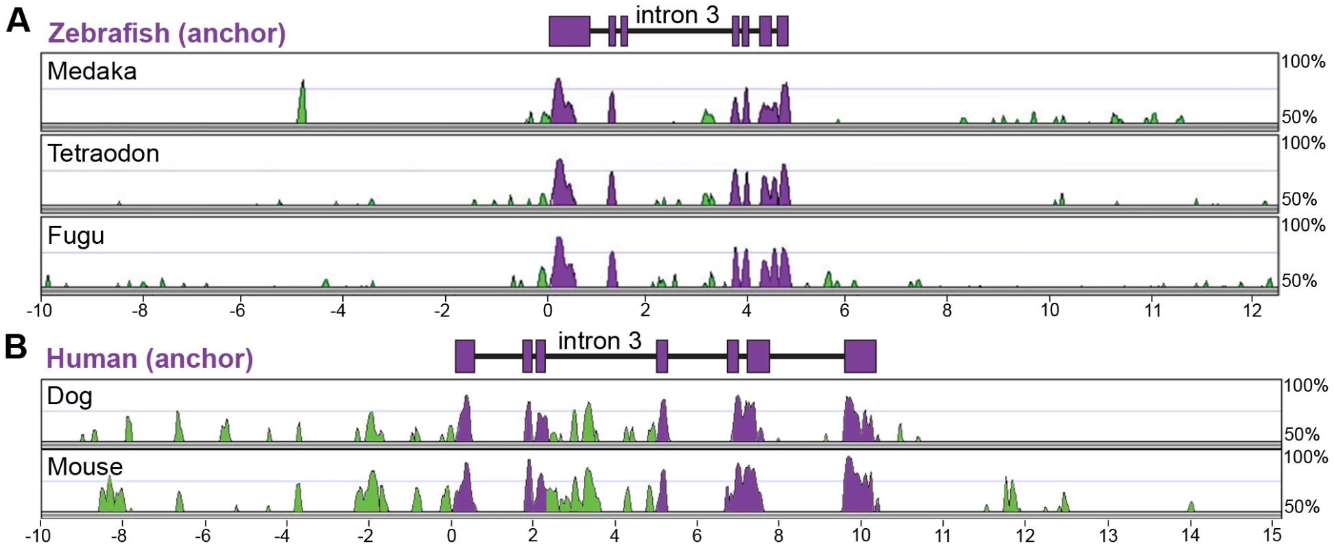 Multiple-species alignments reveal conservation in <i>angptl4</i> gene structure and location of conserved non-coding regions.