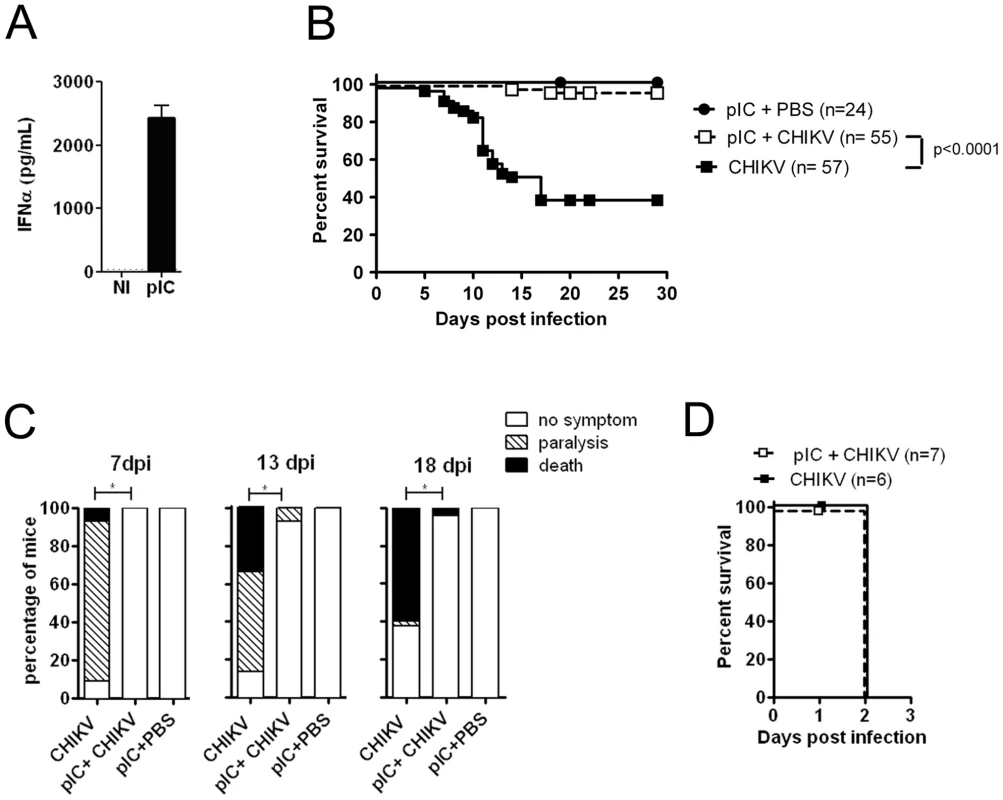 Adjuvant induced type I IFN production protects neonates from CHIKV infection.