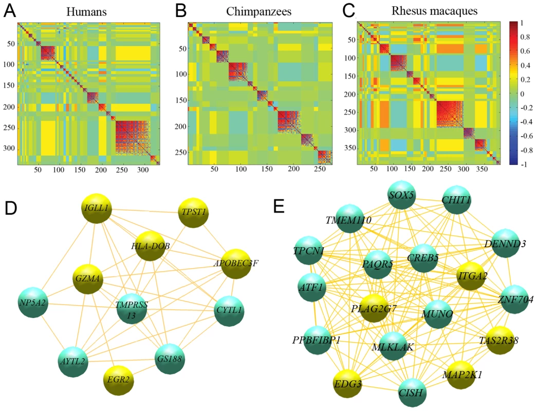 Co-expression regulatory networks.