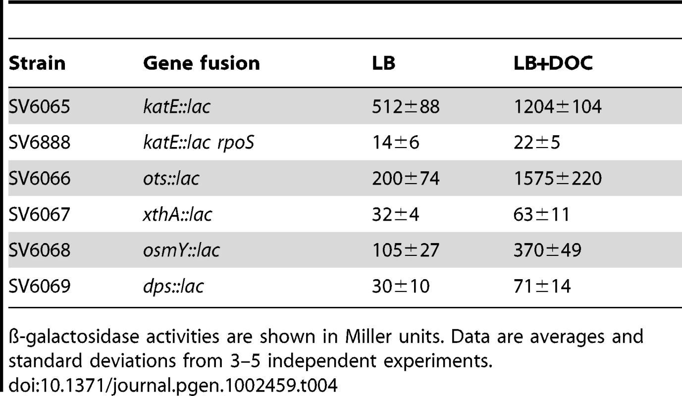ß-galactosidase activities of <i>lac</i> fusions in RpoS-regulated genes in the presence and in the absence of sodium deoxycholate in stationary phase.