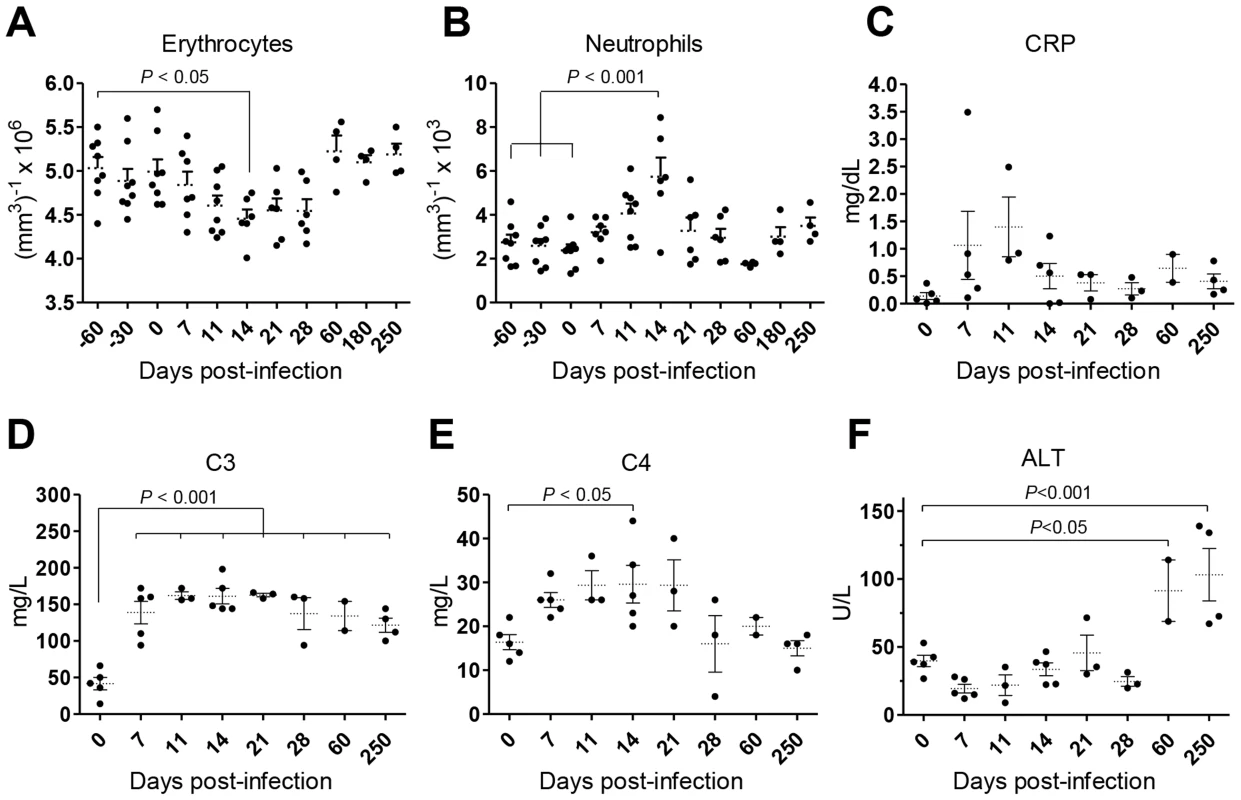 <i>L. infantum</i> infection elicits an acute phase response and chronic hepatocellular damage in rhesus macaques.